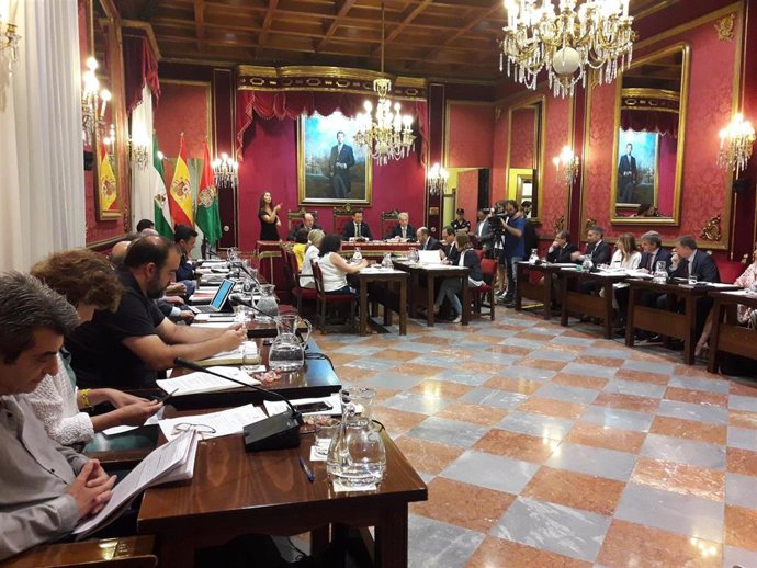 Pleno del Ayuntamiento de Granada