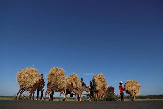 Pastores y granjeros en Oromia (Etiopía)