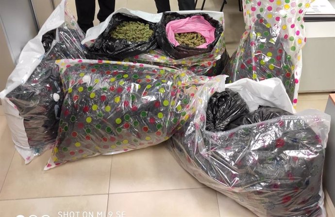 Los 43 kilos de cogollos de marihuana incautados en El Palmar de Troya