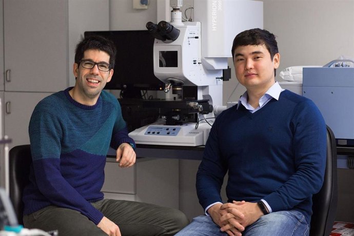 Los investigadores Miguel Beruete y Bakhtiyar Orazbayev