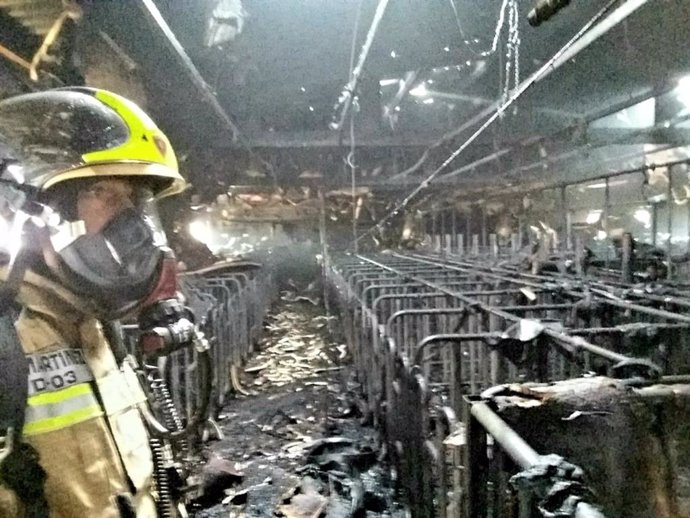 Bomberos de la Diputación Provincial sofocan un incendio en una granja de cerdos en Tarazona.