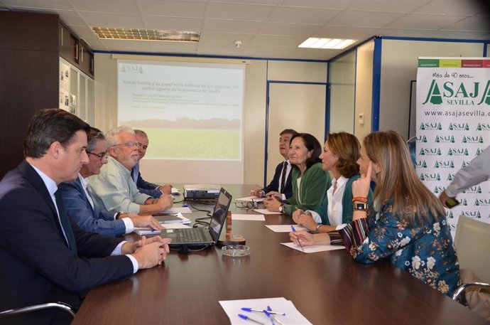 Reunión del presidente de Asaja Andalucía, Ricardo Sierra, con la vicepresidenta de la Comisión de Agricultura y Desarrollo Rural del Parlamento Europeo, Mazaly Aguilar.