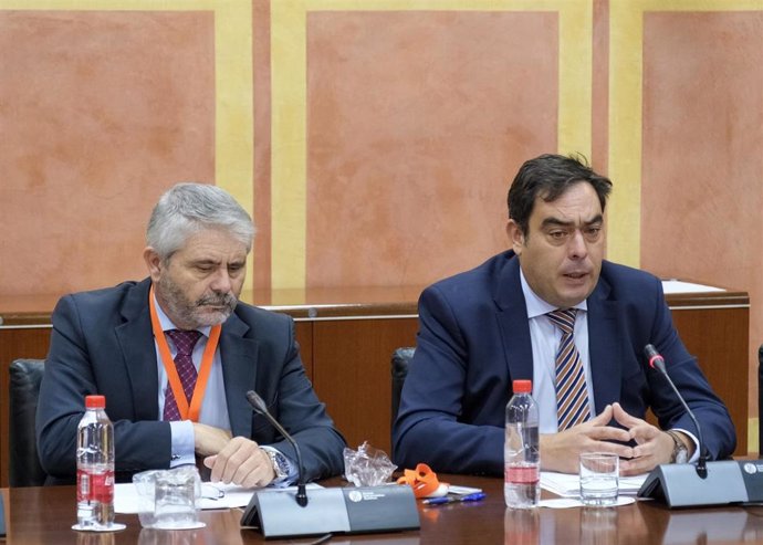 El presidente de ATA Andalucía, Rafael Amor, a la derecha de la imagen, este lunes en el Parlamento de Andalucía para analizar el Presupuesto de 2020.