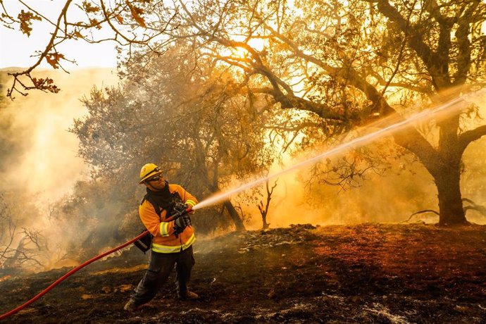 10/24/2019 - Geyserville, California, USA: Firefighter Carlos Gonzelez with the Marin County Strike team hoses off flames to protect homes during the Kincade Fire in Geyserville, California, on Thursday, Oct. 24, 2019. (Gabrielle Lurie / San Francisco C