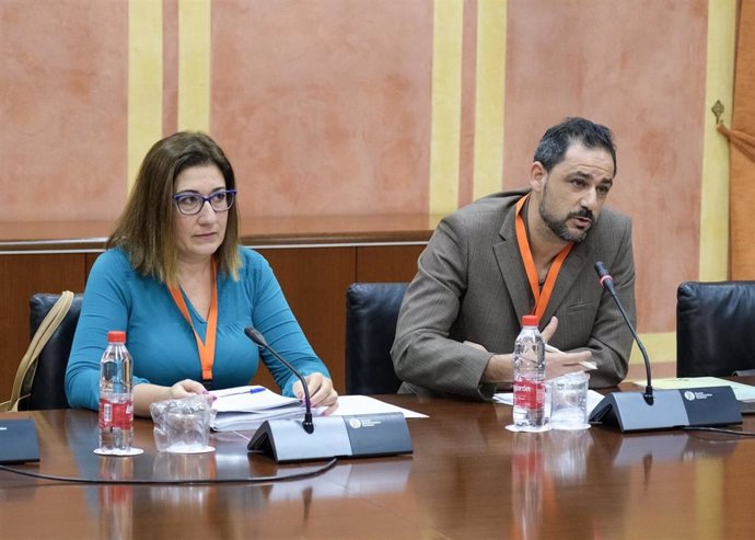 Comparecencia de los representantes de Facua este lunes en el Parlamento de Andalucía sobre el Presupuesto de la Junta de 2020.