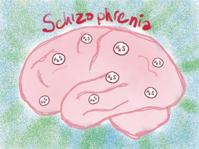 Los niveles de MPST y sulfuro de hidrógeno son altos en la esquizofrenia.