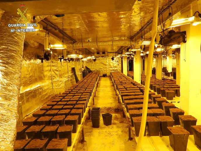 Imagen del interior de la finca donde los detenidos tenían también una plantación de marihuana.