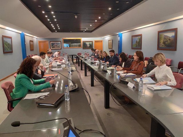 Reunión de la comisión mixta para evaluar el impacto de la transición energética en Asturias.