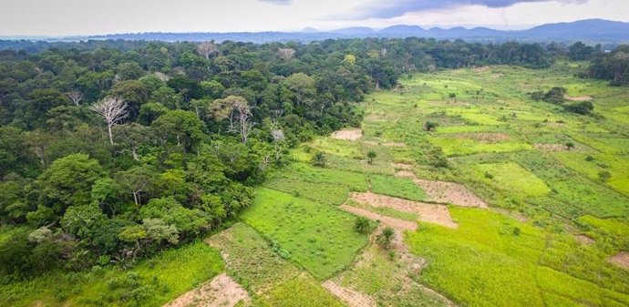 Las áreas protegidas no reducen la presión humana en hábitats tropicales