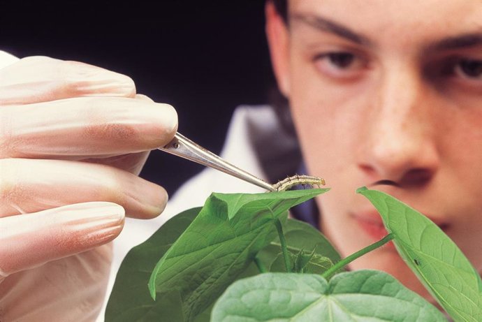 Economía.- Syngenta destinará 2.000 millones a la sostenibilidad y la innovación