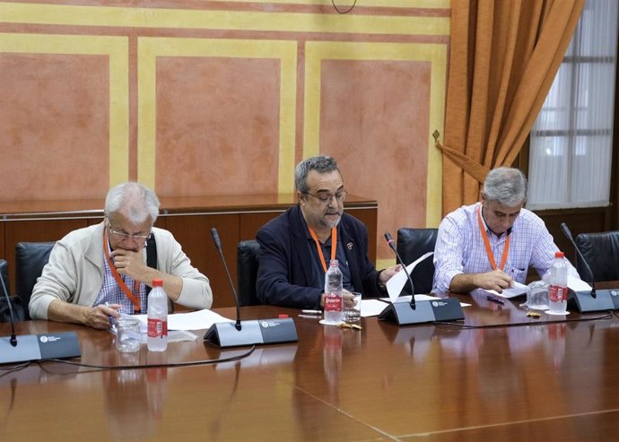 Representantes de la Coordinadora Andaluza de Memoria Democrática, en su comparecencia de este martes en el Parlamento de Andalucía sobre el Presupuesto de 2020.