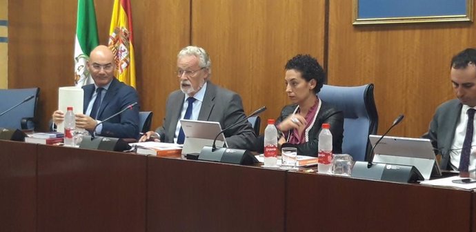El Defensor del Menor en Andalucía en la Comisión de Infancia en el Parlamento