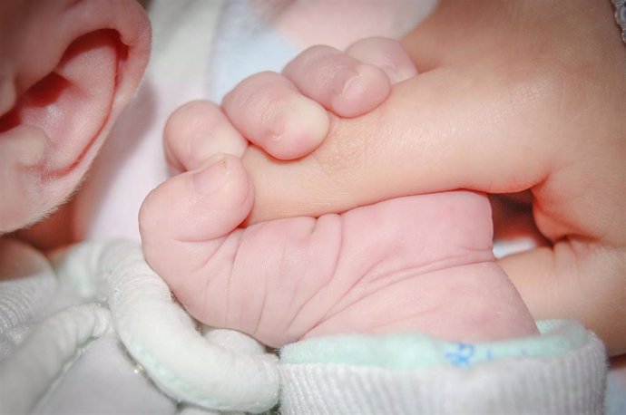 Un bebé coge un dedo de una mano. Bebé, neonato, gestación, infancia, niño, hijos