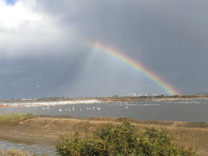 Huelva.- Abierto el plazo de inscripción en la XIII Travesía Marismas del Odiel