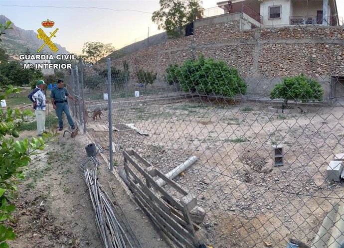 Guardia Civil investiga a un vecino de Alhama de Murcia por maltratar de forma continuada a sus perros