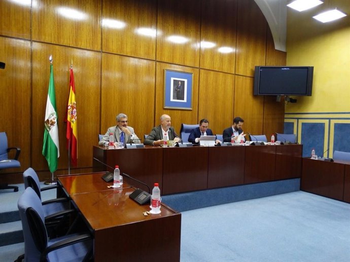 Javier Imbroda en la Comisión de Educación