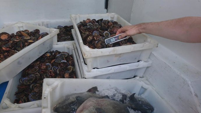 Lapas requisadas por la Policía Local