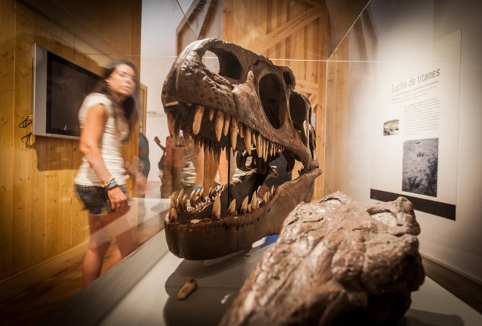 Museo Cretácico de Enciso (La Rioja)