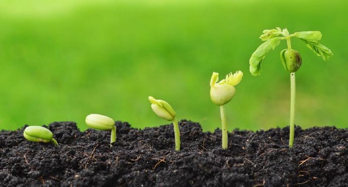 El programa TalentA abre su plazo de presentación el próximo 1 de noviembre