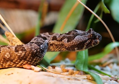 Terra Natura Benidorm se convierte en el 