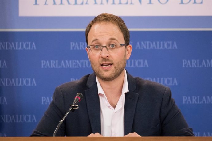 El portavoz de Empleo, Formación y Trabajo Autónomo del PP-A en el Parlamento, Erik Domínguez, en rueda de prensa