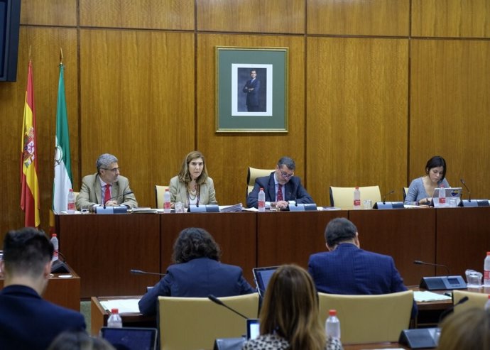 Mesa de la comisión de Empleo, Formación y Trabajo Autónomo, durante la comparecencia de la consejera, Rocío Blanco.