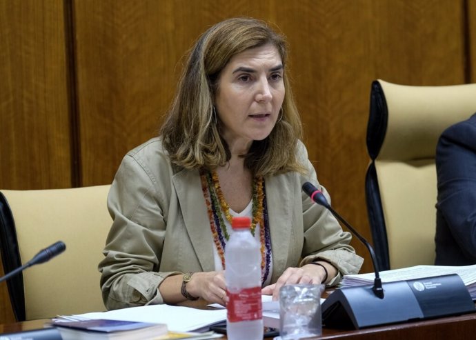 La consejera de Empleo, Rocío Blanco, este jueves durante su comparecencia en comisión parlamentaria.