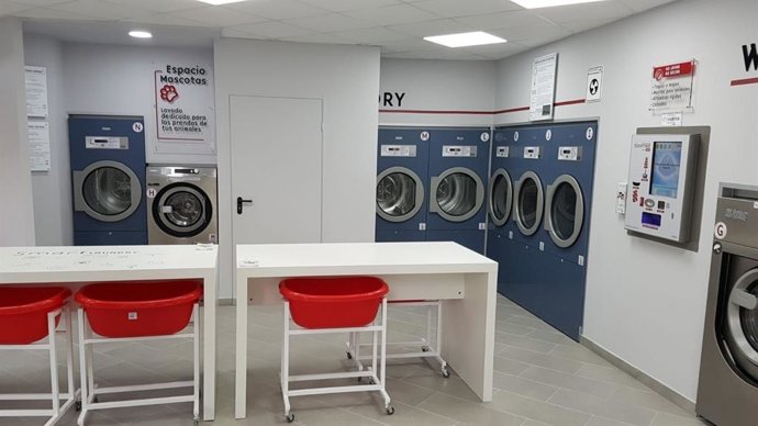 Interior Tienda Bloomest