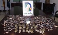 Tres denunciados en Cádiz por caza ilegal de aves protegidas y delitos contra flora y fauna