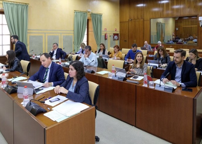 Imagen de este jueves de la sesión celebrada en la Comisión de Empleo del Parlamento de Andalucía.
