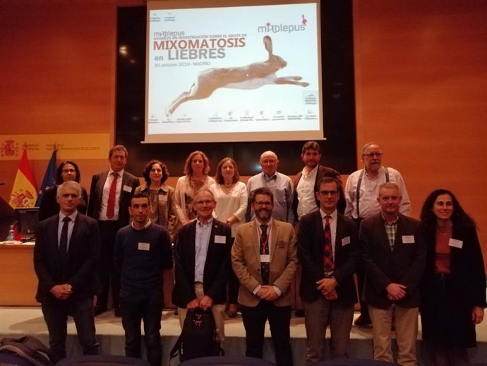La Fundación Artemisan celebra una jornada para analizar la situación de la liebre en España por la mixomatosis.