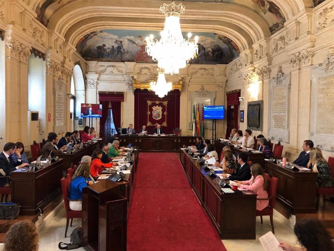 Sesión plenaria del Ayuntamiento de Málaga
