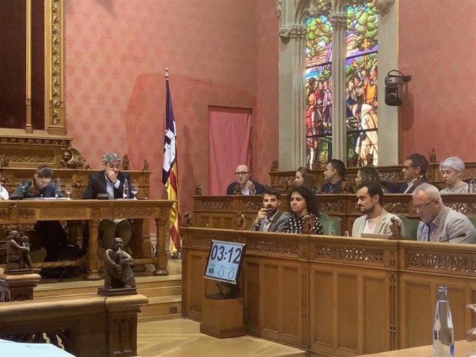 El portavoz del PSIB en el Consell, Andreu Alcover, interviniendo en el pleno.
