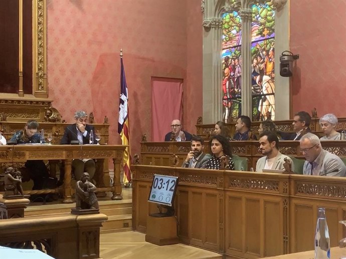El portaveu del PSIB en el Consell, Andreu Alcover, intervenint en el ple.