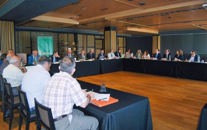 Imagen de archivo de una reunión del Consejo Andaluz de Colegios de Médicos.