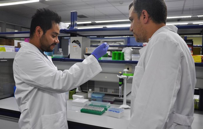 Investigadores del IBV (CSIC) y de Fisabio