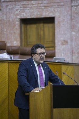 El presidente del Grupo de Vox, Francisco Serrano. 