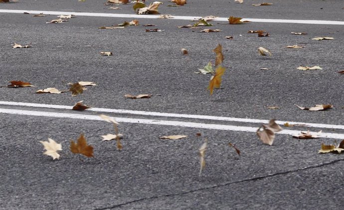 El viento mueve hojas caídas en el suelo.