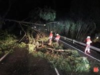 El viento deja rachas de 123 km/h y causa 137 incidencias en Cantabria