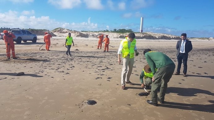 Limpieza de las playas brasileñas, afectadas por manchas de petróleo