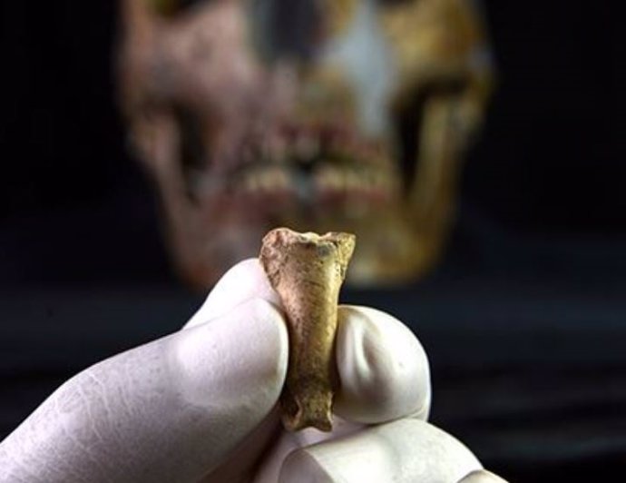 Posiblemente, el último collar hecho por neandertales