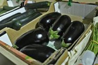 Agricultores independientes de Almería deciden no vender pimientos y berenjenas indefinidamente por los bajos precios