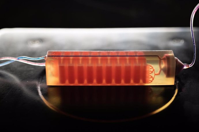 Una trampa celular impresa en 3D desarrollada en el laboratorio de Georgia Tech Assistant Professor A. Fatih Sarioglu captura las células sanguíneas para aislar las células tumorales de una muestra de sangre.