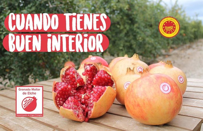 Imagen de la campaña Cuando tienes buen interior