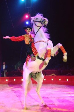 Espectáculo ecuestre en el Gran Circo Quirós.