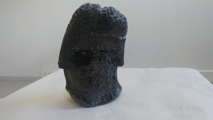 Uña de dinosaurio de Morella