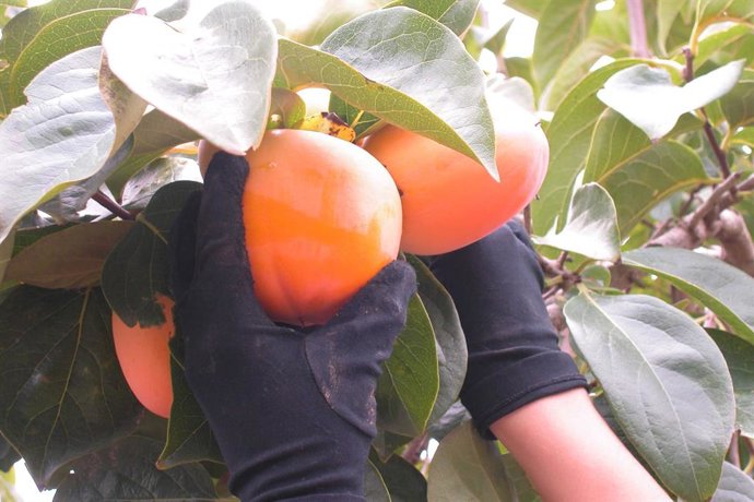 La Unió denuncia a la Agencia de Información y Control "renegociaciones de preci