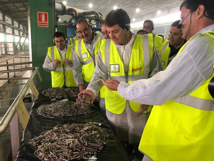 El presidente de la Junta, Alfonso Fernández Mañueco, visita la planta de Acor en Olmedo (Valladolid)