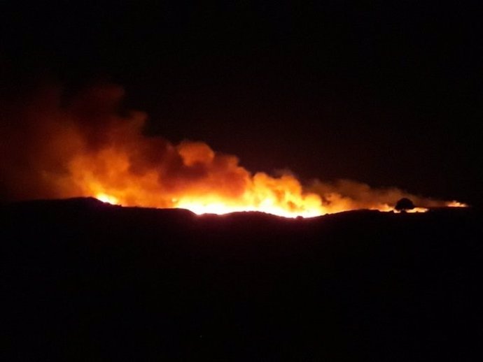 Incendio forestal en el Pinar del Tábano.