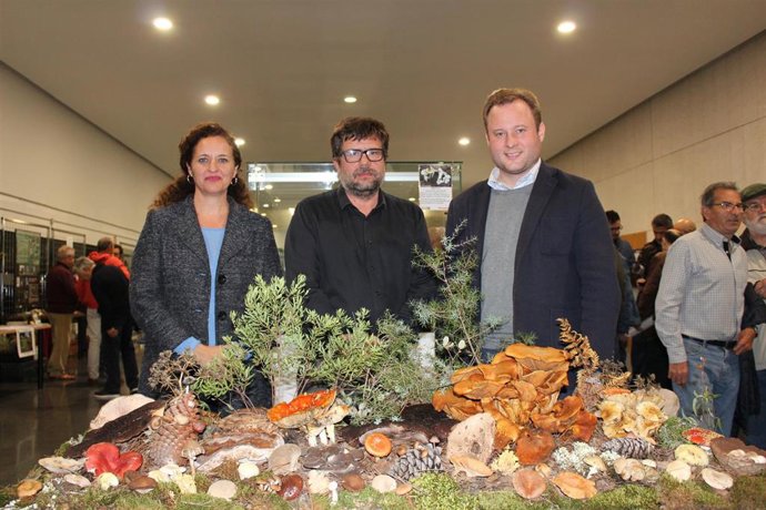 Setas. Alcalde. Albacete